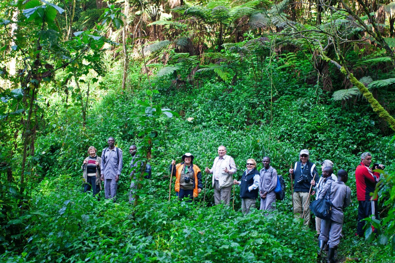 bwindi impenetrable forest tourism
